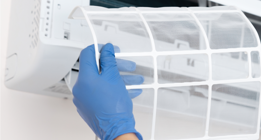 Rejuvenation Eco Clean